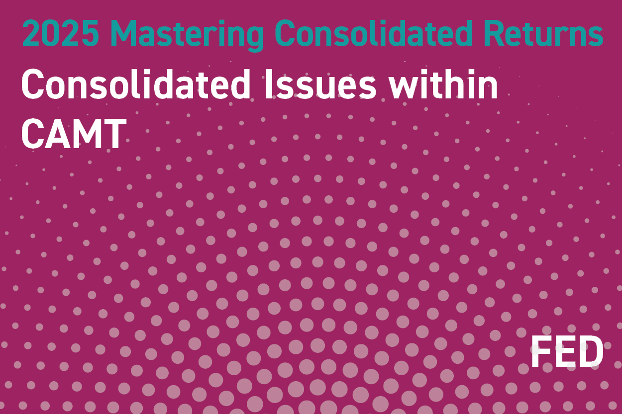 2025 Mastering Consolidated Returns: Consolidated Issues within CAMT (and other current topics)