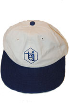 TEI Baseball Cap